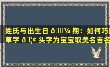姓氏与出生日 🌼 期：如何巧用草字 🦢 头字为宝宝取美名吉名